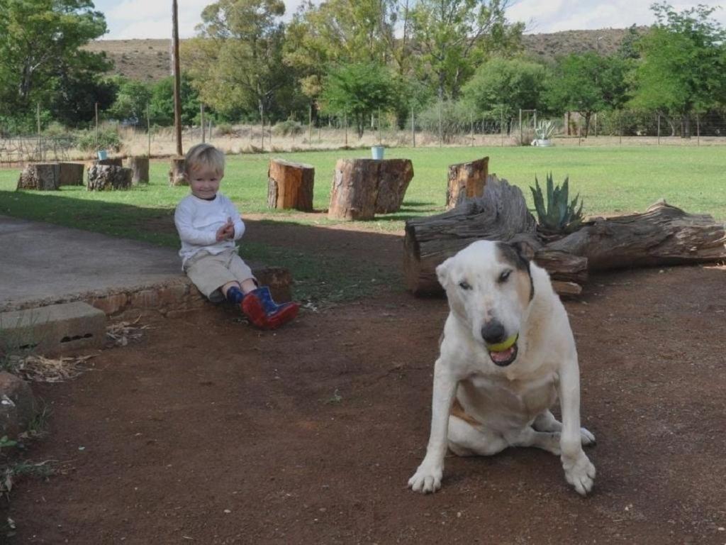 Little Farms Otel Colesberg Dış mekan fotoğraf