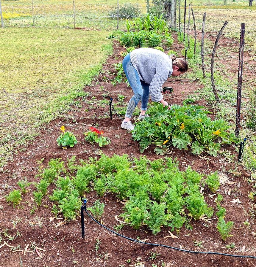 Little Farms Otel Colesberg Dış mekan fotoğraf